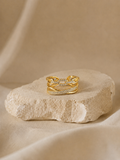 Anillo Enlace